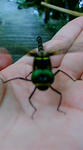20100627161856.jpg