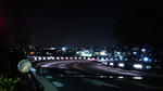 DSC_0133.jpg