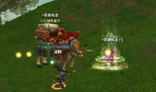 6.jpg