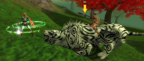 tora6.jpg