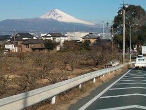 SN3R0871.JPG