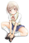 sen5.jpg