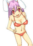 udonge.jpg
