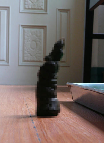 P1020114.JPG