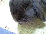 080703_saku.jpg