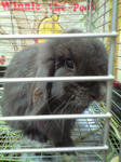 080807_39_a.jpg