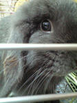 080708_39_b.jpg