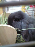 080708_39_c.jpg