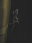 080901_01.jpg