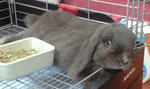 080926_saku.jpg