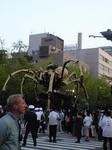 CA390425.jpg