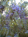 CA390412.jpg
