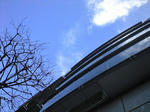 100108_003.JPG