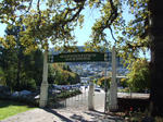 DSCF2433.JPG