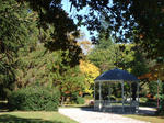 DSCF2434.JPG