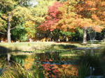 DSCF2437.JPG