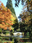DSCF2439.JPG