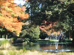DSCF2447.JPG
