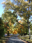 DSCF2452.JPG