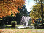 DSCF2455.JPG