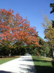 DSCF2457.JPG