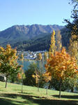DSCF2460.JPG