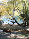 DSCF2472.JPG