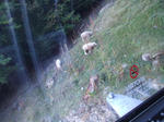DSCF2486.JPG