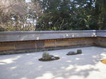 677c6b74.JPG