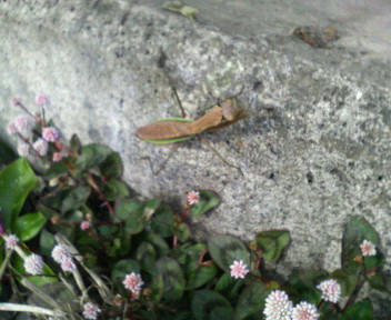 200711161416000.jpg
