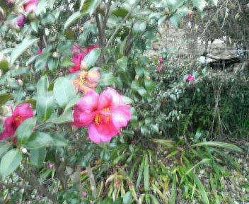 200712171616000.jpg