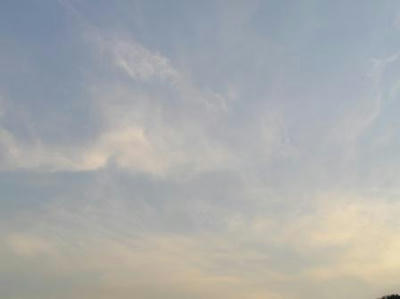 89c9a6e4.JPG