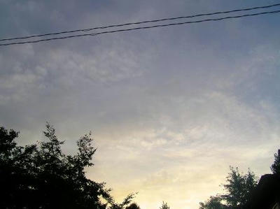 c270033d.JPG