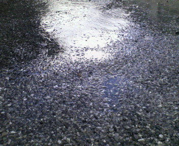 200808141525000.jpg