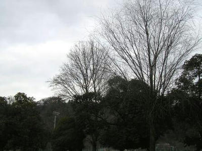 482b2ef1.JPG