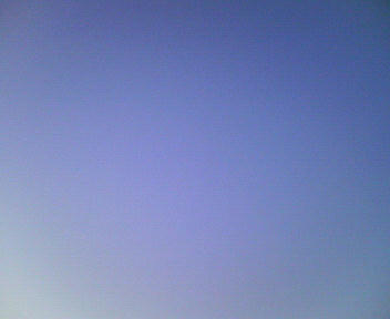200902021716000.jpg