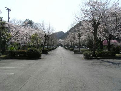 227a5c09.JPG
