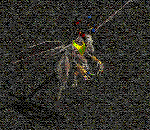 795fdc67.gif