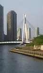 PA0_0006.JPG