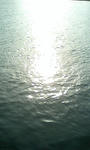PA0_0000.JPG