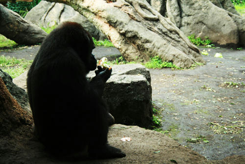 IMG_9955.jpg