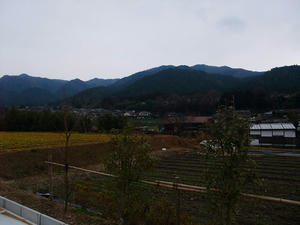 DSCF8065.jpg