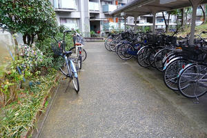 P1000089.jpg