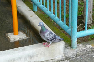 P1000213.jpg