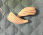 200803050100000.jpg