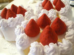 DSCN1208.JPG