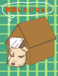 我が家の愛犬