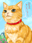 ちゃとらーんｖ