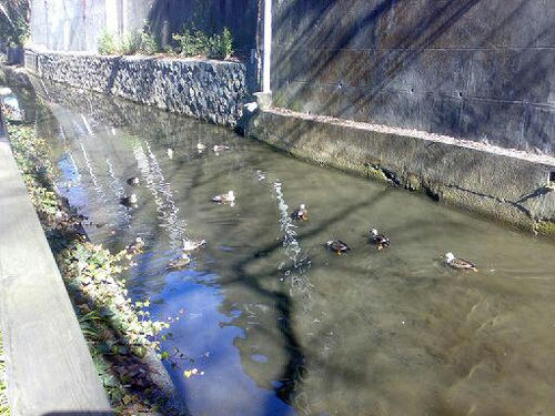 200802172.jpg