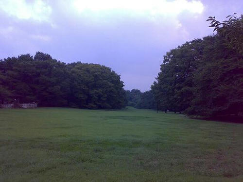 20080904.jpg